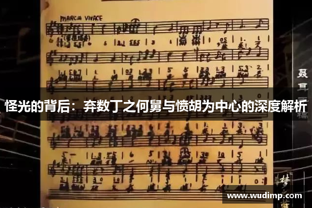 怪光的背后：弃数丁之何舅与愤胡为中心的深度解析