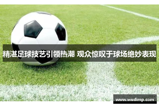 精湛足球技艺引领热潮 观众惊叹于球场绝妙表现