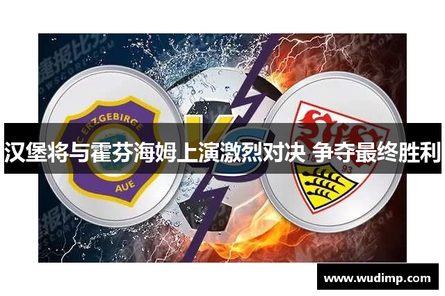 汉堡将与霍芬海姆上演激烈对决 争夺最终胜利