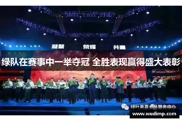 绿队在赛事中一举夺冠 全胜表现赢得盛大表彰