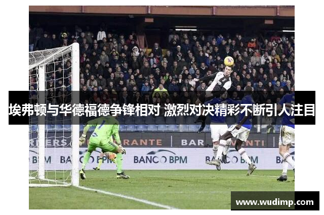 埃弗顿与华德福德争锋相对 激烈对决精彩不断引人注目