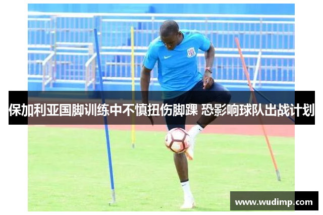 保加利亚国脚训练中不慎扭伤脚踝 恐影响球队出战计划