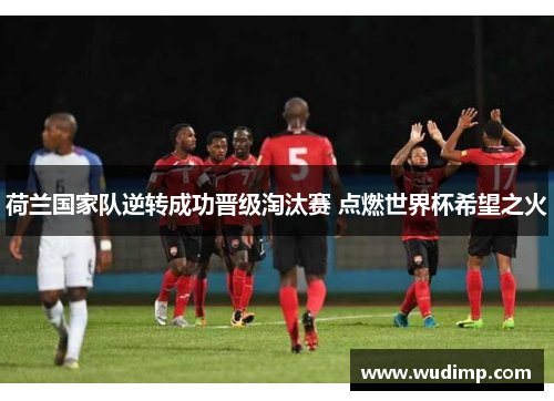 荷兰国家队逆转成功晋级淘汰赛 点燃世界杯希望之火