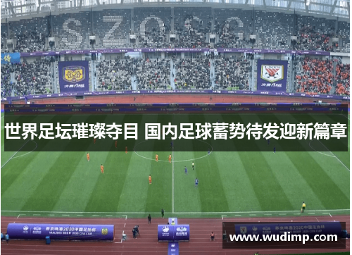世界足坛璀璨夺目 国内足球蓄势待发迎新篇章