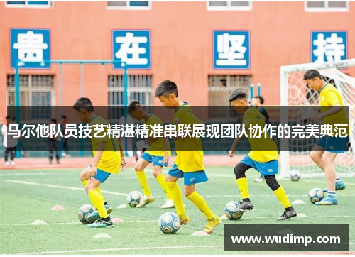 马尔他队员技艺精湛精准串联展现团队协作的完美典范