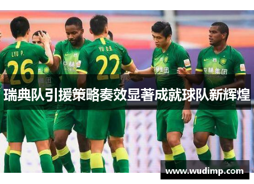 瑞典队引援策略奏效显著成就球队新辉煌