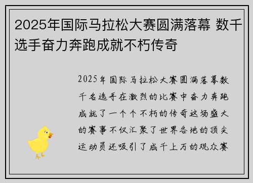2025年国际马拉松大赛圆满落幕 数千选手奋力奔跑成就不朽传奇